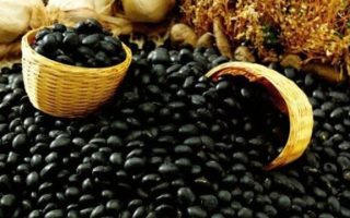Proses Industri Kecap Bango Mengolah Kedelai Hitam Berkualitas