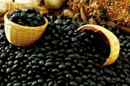 Proses Industri Kecap Bango Mengolah Kedelai Hitam Berkualitas